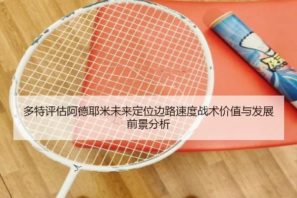 多特评估阿德耶米未来定位边路速度战术价值与发展前景分析（leyu）